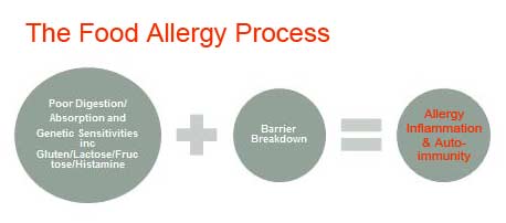 Alelrgy process diagram