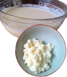 kefir