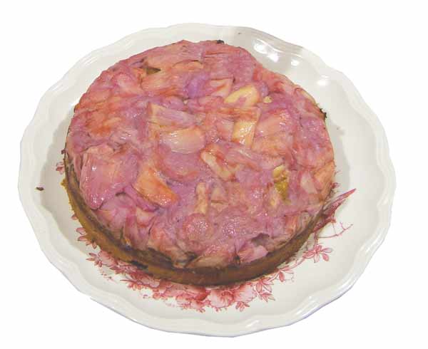 Rhubarbd abd ginger cake