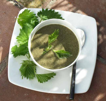 Nettle soup recipe