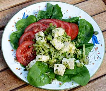 Tofu with tomato