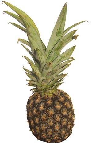 pineapple